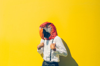 Fotodoos fotoshoot met latex papegaai masker
